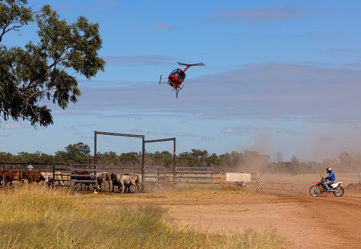 Commercial Helicopter License Heli Dynamic Helicopter Services